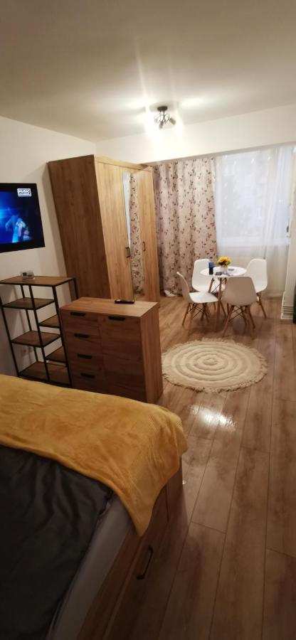 Ana Studio Apartamento Târgu-Mureş Exterior foto